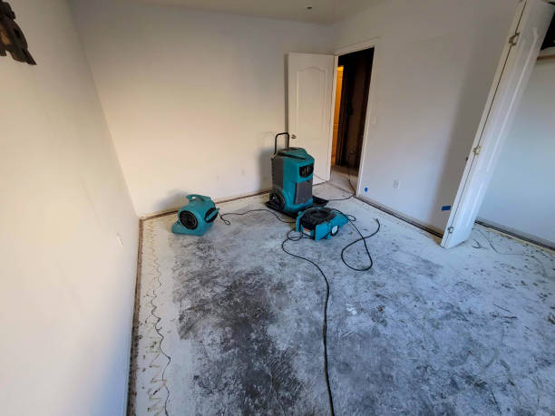 Best 24-hour water damage restoration  in Lincoln Village, OH