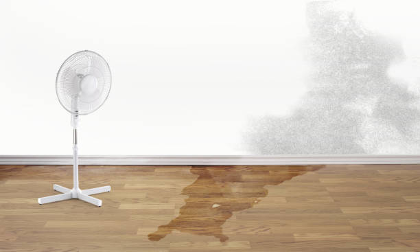 Best Emergency water damage restoration  in Lincoln Village, OH