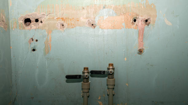 Best Carpet water damage restoration  in Lincoln Village, OH